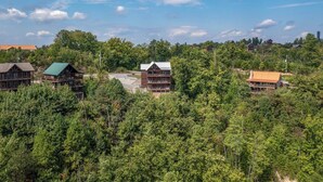 A lodge with multiple buildings surrounded by dense forest, featuring a central building with a large balcony and a smaller building with a green roof. - Majestic View (Sevierville)