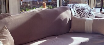 Charming 3-bedroom house in brilliant Des Plaines