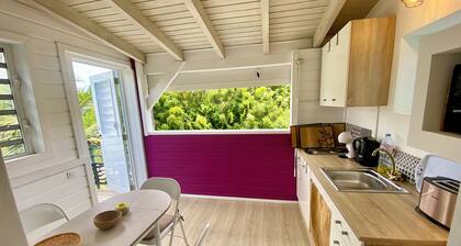 Superb Apartment with AC in Charming Saint Martin