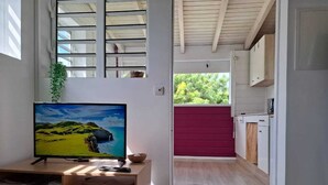 Una sala de estar moderna con un televisor de pantalla plana grande, muebles de madera y vistas al exterior a través de una ventana con contraventanas.