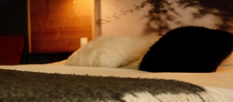 Appart neuf à la frontière Suisse