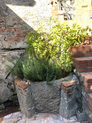 Exterior detail - Charming palazzetto in Calci (Calci)