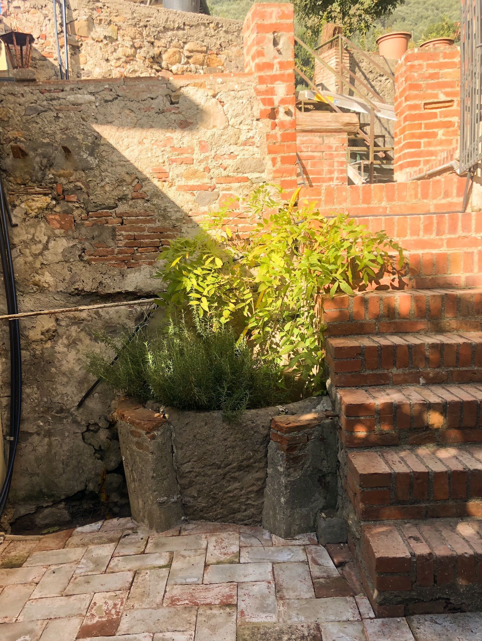 المنطقة المحيطة بالمنشأة