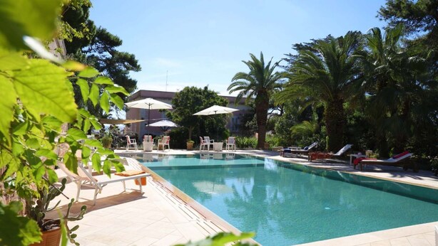 A pool area with lounge chairs and umbrellas, surrounded by palm trees and potted plants.