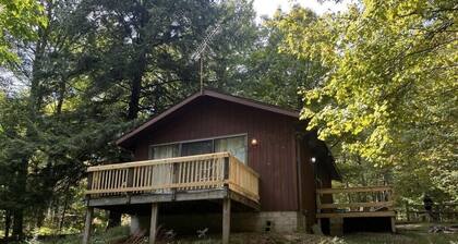 Cozy 1 bedroom Pet Friendly Cabin in Scandia