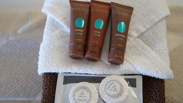 Hair dryer, towels, soap, shampoo