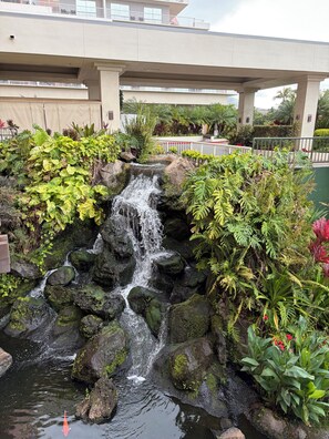 Jardines del alojamiento