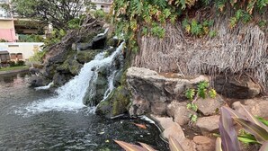 Ein Wasserfall stürzt in einen Teich, umgeben von Felsen und Pflanzen.