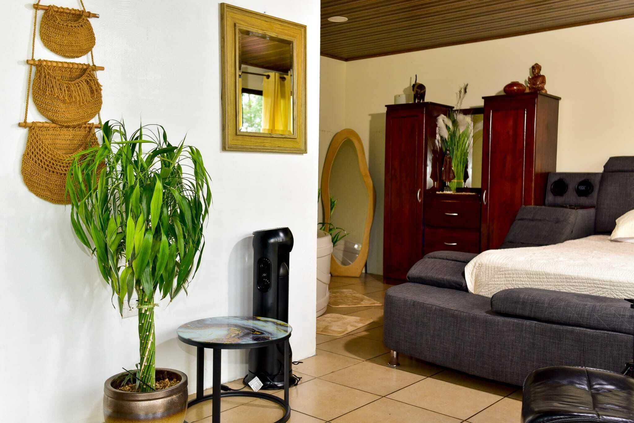 A room with a bed, a desk, a potted plant, and a mirror.