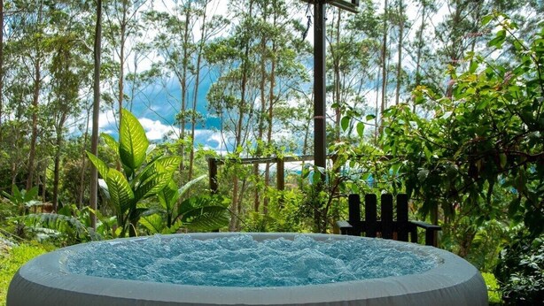 Un bain à remous entouré d’une végétation luxuriante et de grands arbres.