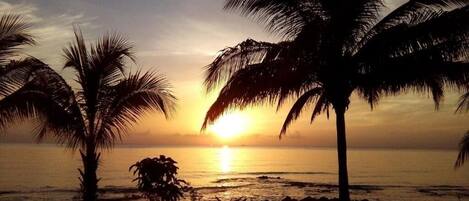 Serviettes de plage