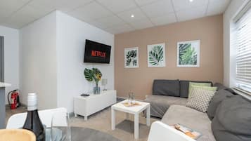 Fernseher