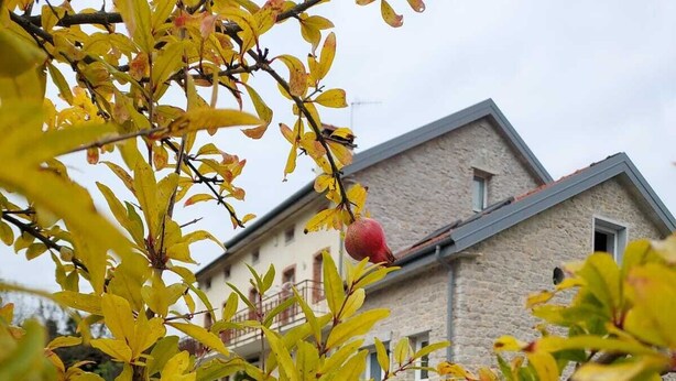 Een binnentuin met een granaatboom, een stenen gebouw en een betegelde vloer.