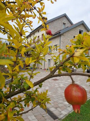 واجهة المنشأة