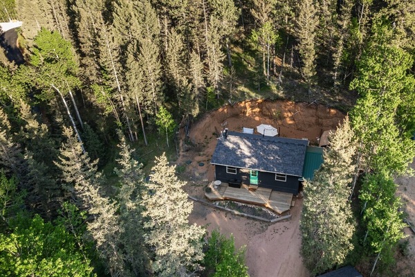Just the trees, the cabin, and the quiet!