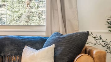 Smart TV, fireplace, books, computer monitors