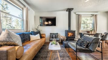 Smart TV, chimenea, libros y monitor de computadora