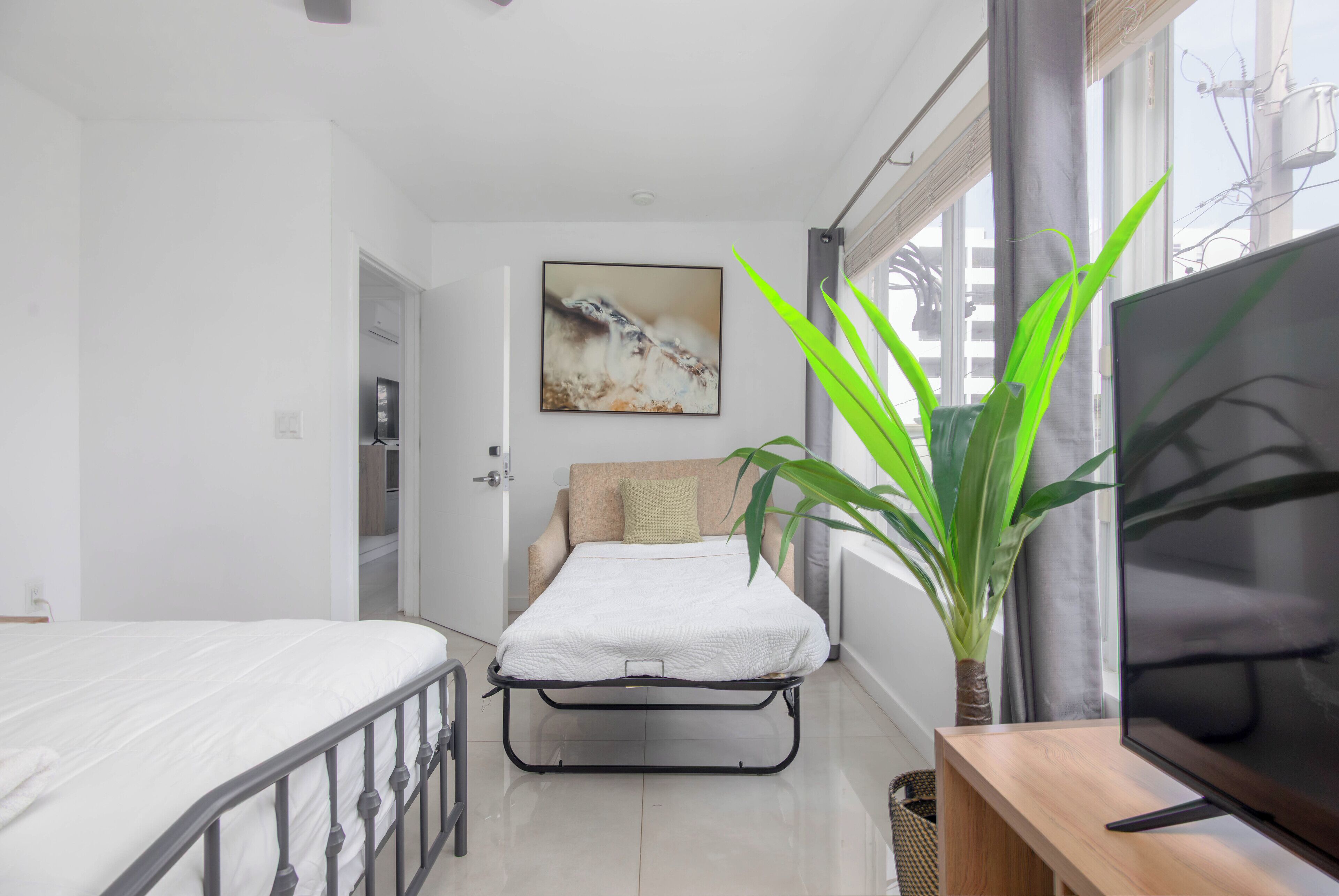 A modern bedroom with a bed, a TV, and a large plant.