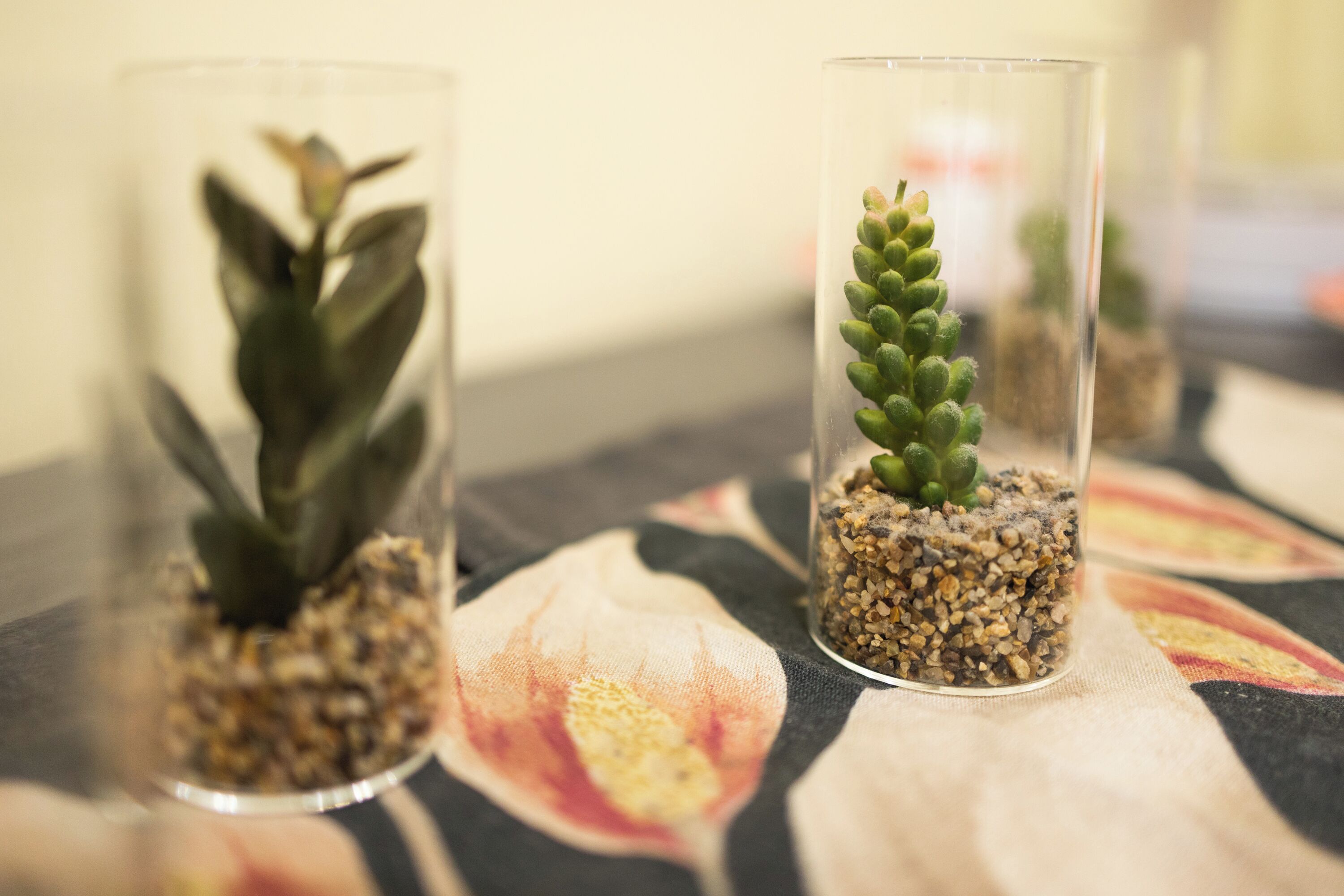 Two glass terrariums with plants on a table.