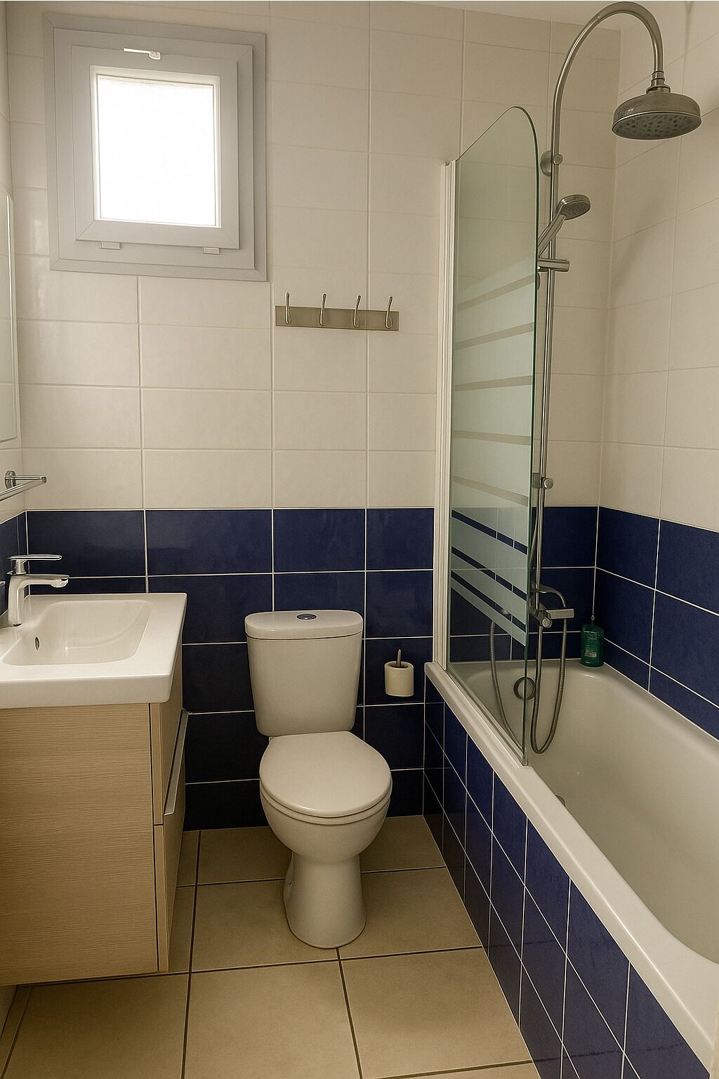 Haartrockner, Handtücher, Seife, Toilettenpapier