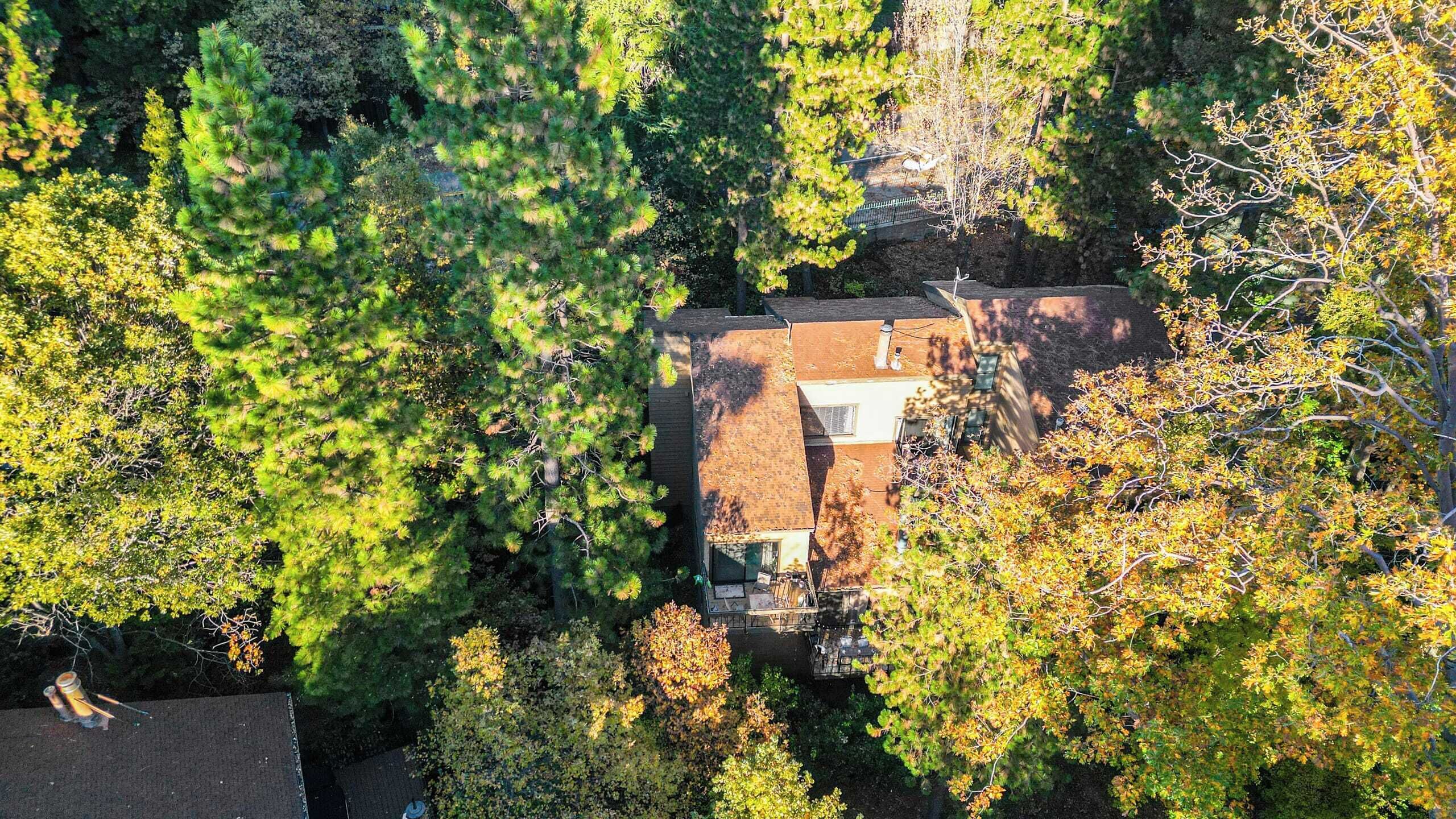 Vista aérea de uma casa cercada por árvores densas, com uma garagem visível e um pequeno pátio.