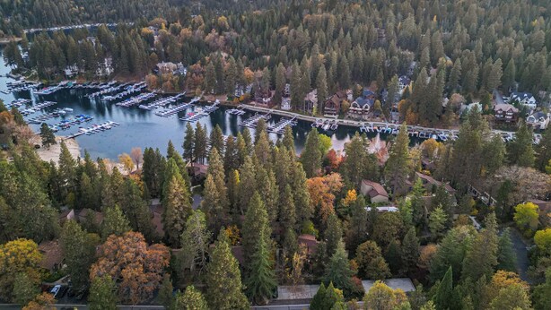 En vy från ovan över en småbåtshamn med förtöjda båtar, omgiven av tät skog och bostadshus.