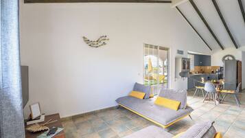 Télévision de 65 pouces avec chaßnes par cùble, Netflix