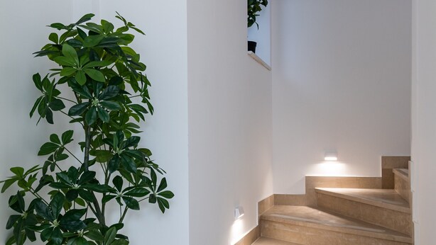 Eine Treppe mit beigen Stufen und einer Topfpflanze auf der linken Seite.