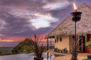 A thatched-roof building with a pool and potted plants. - Tiki Vibez by Pura Villas (Ciudad Cortés)