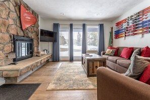 TV, fireplace, books