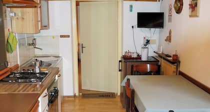 Mario home