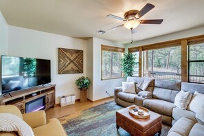 TV, fireplace