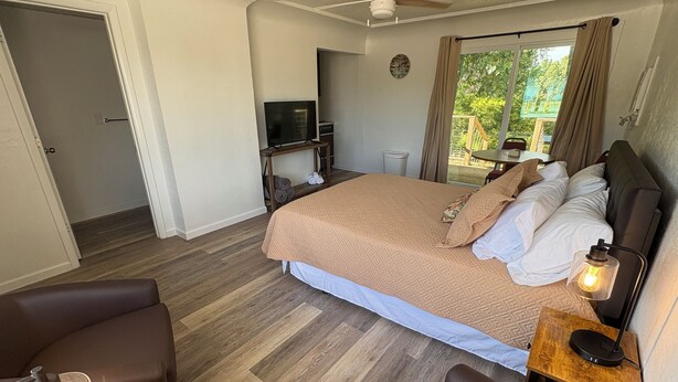 A bedroom with a bed, a TV, a ceiling fan, and a view of the outdoors.