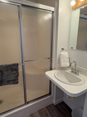 シャワー、ヘアドライヤー、タオル、トイレットペーパー