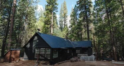Rare Stay Inside Yosemite NP: Luxury Cabin with Hot Tub, A/C, Wi-Fi