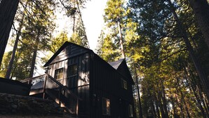 Uma cabana com escadas que levam a um deck, rodeada por árvores altas.