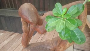 En skulptur som föreställer en sittande figur med ett stort blad.