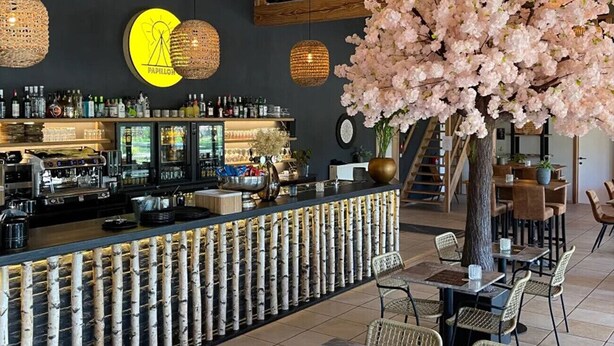 A bar area with a counter, shelves with bottles, and a large tree with pink flowers. - Camping Papillon Kinrooi - 88 (Kinrooi)