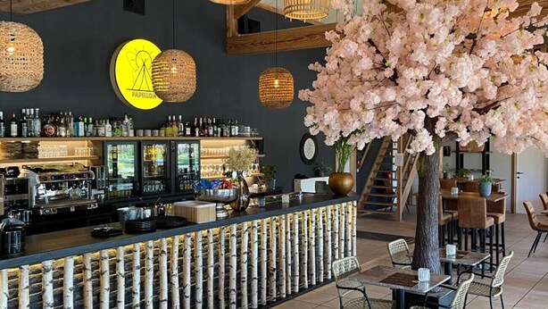 Angolo bar con un bancone, scaffali pieni di bottiglie e un’ampia pianta con fiori rosa.