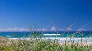 Beach nearby - 7 Pacific Villas - Breathtaking Ocean Views (Sunshine Beach)