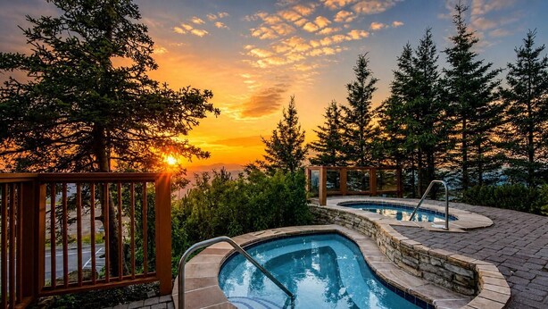 Una piscina con bordo in pietra, circondata da alberi e un recinto in legno.