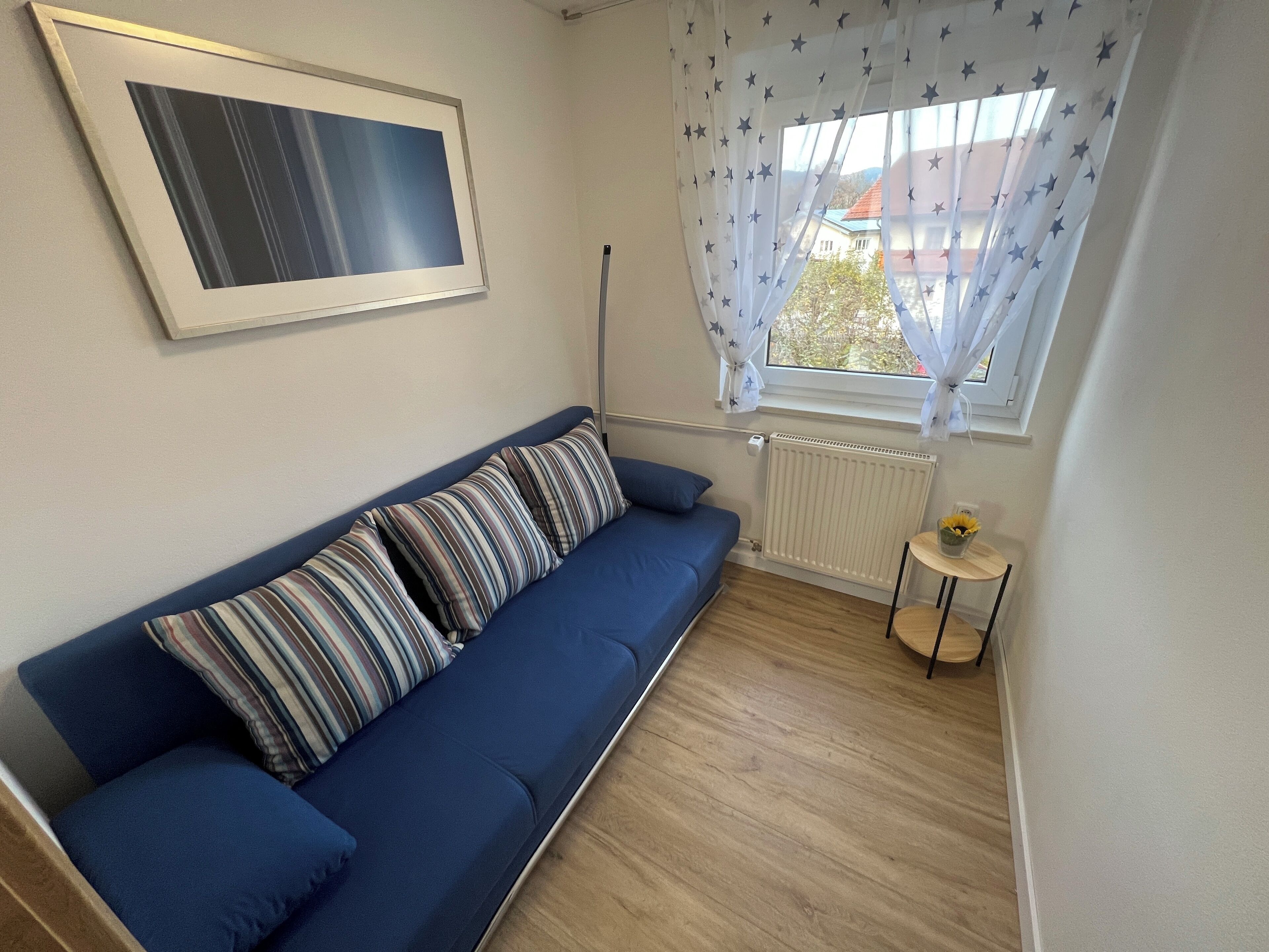 Et værelse med en blå sofa, et billede i ramme på væggen, et vindue med gardiner med stjernemønster og en radiator.
