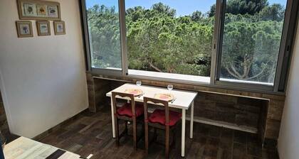 Air Conditioning, Fiber Optic Connection, in the Heart of Les Sablettes, Everything Within Walking Distance..