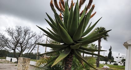 Charming 1-bedroom cottage in marvelous Faro with AC