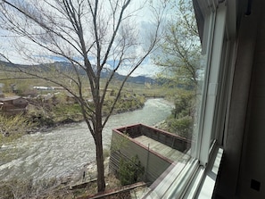 Aussicht auf einen Fluss, im Vordergrund ein Baum und im Hintergrund Gebäude.