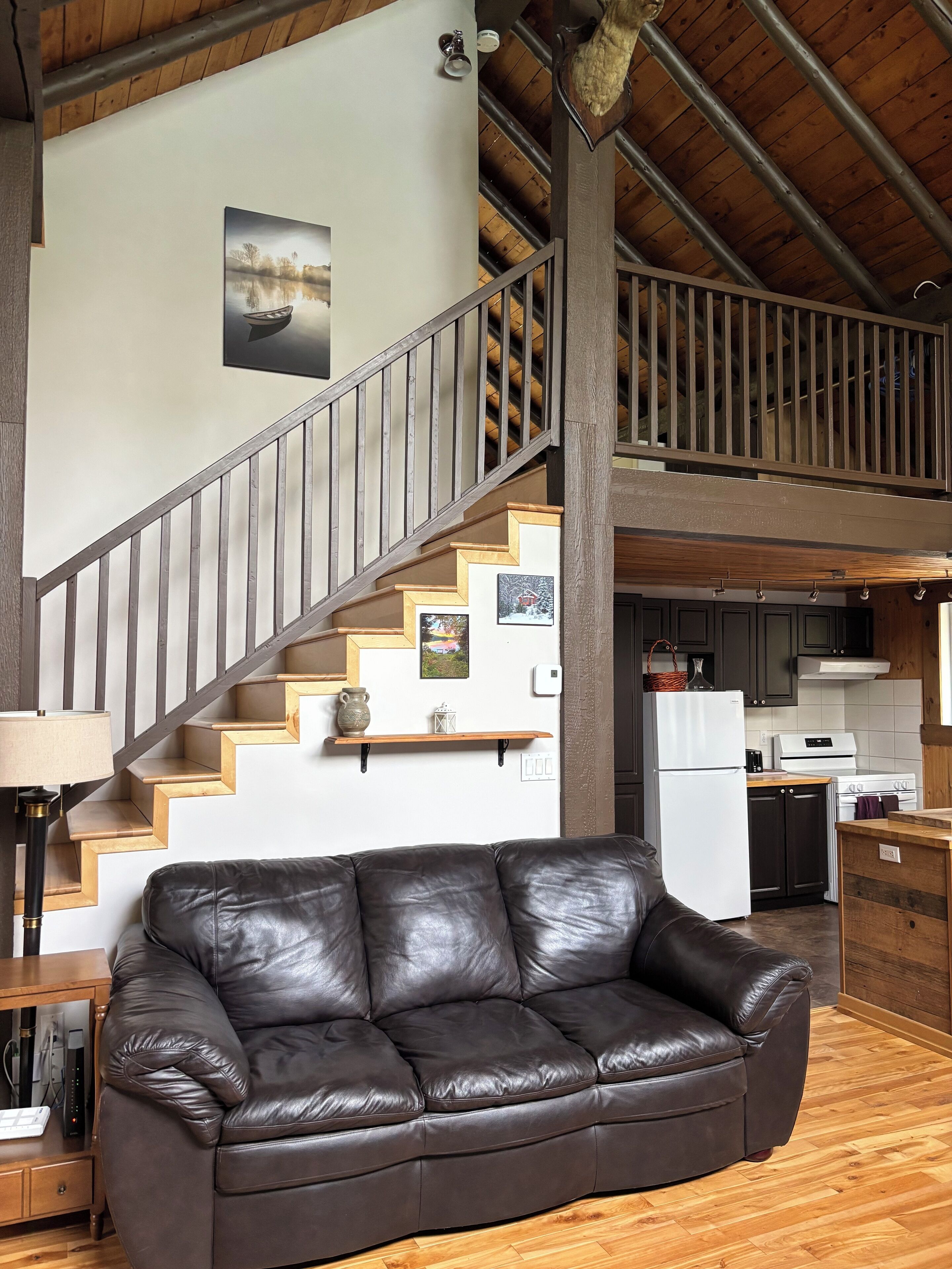 Télévision, cheminée, livres