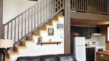 TV, fireplace, books