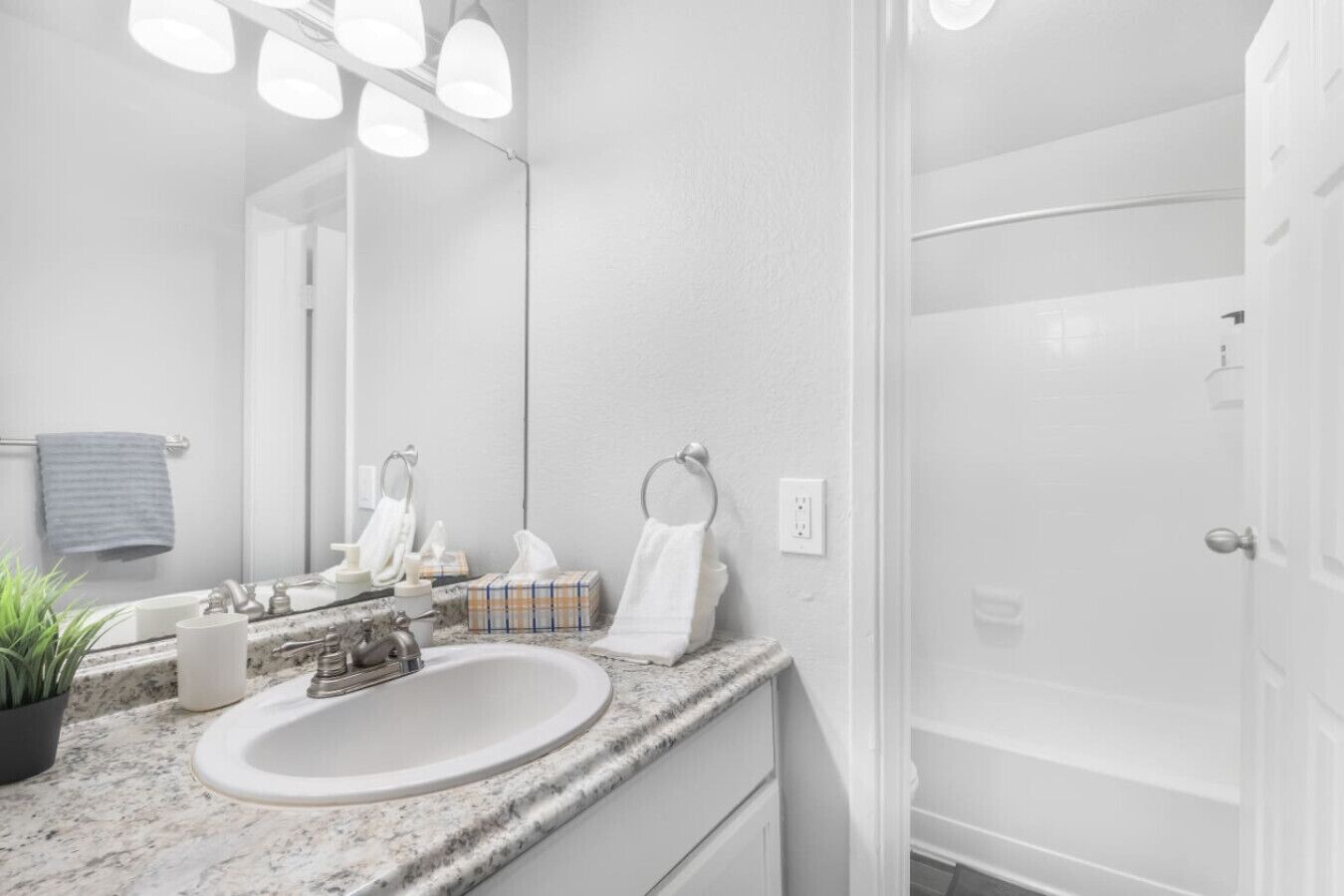 Shower, hair dryer, shampoo