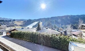 View from property - Charm - Les Gets - Les Perrieres (Les Gets)
