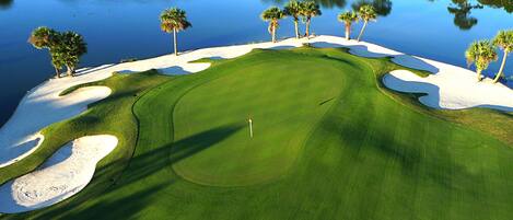 A golf course with sand bunkers, a flagstick, and palm trees.